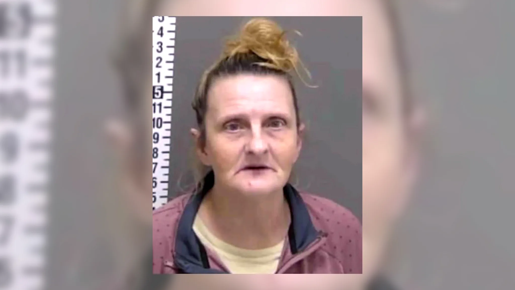 AI Got It Wrong, She Spent Six Months in Jail: TN Grandmother Sues Fargo for $10M Over Face-Match Arrest