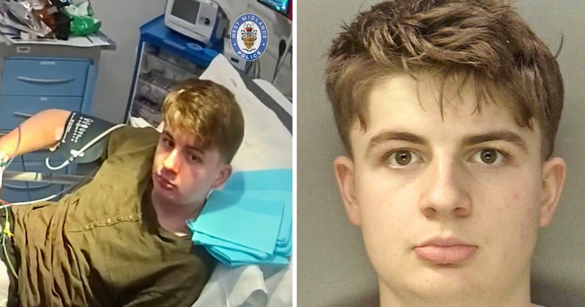 'Dexter' kill room: forensics student pleads guilty to murdering Maria Saceanu